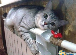 Жители Новочеркасска будут платить за отопление только в отопительный сезон