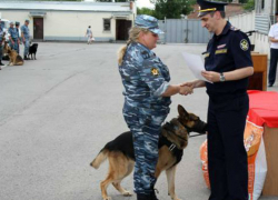 Кинолог из Новочеркасска победила в областных соревнованиях