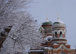 В Новочеркасском доме-интернате прошел концерт для престарелых и инвалидов