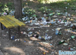 27 июля в Новочеркасске в парке микрорайона Октябрьский пройдет экоакция