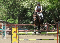 Наездница из Новочеркасска победила на соревнованиях по конному спорту