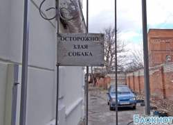 В центре Новочеркасска голодная бесхозная собака начала охотиться на людей