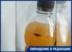 «Пенное с сюрпризом»: жителю Новочеркасска достался таракан в довесок к напитку