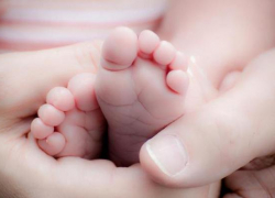 Новочеркасцы получат маткапитал за рождение первого ребенка