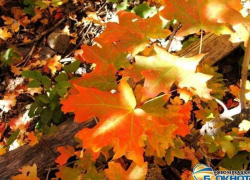 В Новочеркасск 26 сентября вернется теплая и солнечная погода