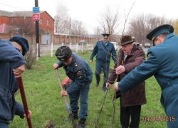 Новочеркасские пожарные поработали озеленителями