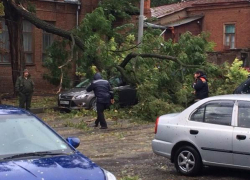 В Новочеркасске от поваленных деревьев уже пострадало 9 автомобилей и автобус