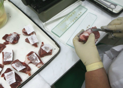 Говядину хранили с нарушениями в детском саду под Новочеркасском