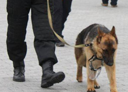 Телефонный шутник «заминировал» торговый центр в Новочеркасске