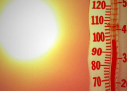 Новочеркасцев предупреждают о 40-градусной жаре