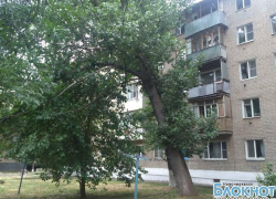 В Новочеркасске 15-тонный тополь может упасть на пятиэтажку