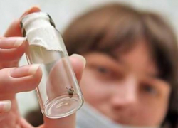 В Новочеркасске появился первый заболевший крымской геморрагической лихорадкой