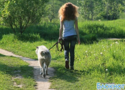 В Новочеркасске запретили выгуливать собак в парках, сушить белье на балконах и сжигать мусор в частном дворе