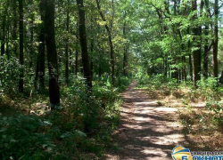 Строительство детского сада в Новочеркасске остановлено из-за кладбища