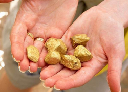 В Ростовской области под Новочеркасском обнаружили крупное месторождение золота