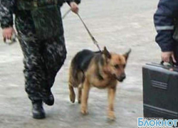 В воинской части Новочеркасска искали бомбу