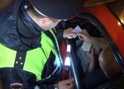 Пьяный водитель, избивший в Новочеркасске полицейского, получил по заслугам