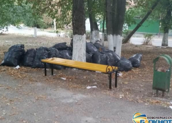 Кандидат в депутаты городской Думы Новочеркасска испортил сквер Чапаева во время съемок агитролика