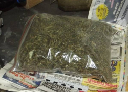 В Новочеркасске отец четырех детей хранил в гараже 1,5 килограмма марихуаны