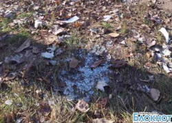 В Новочеркасске таксиста застрелили из оружия, похищенного у убитых полицейских в сентябре