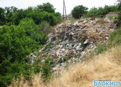 На вывоз несанкционированных свалок в Новочеркасске потратят 2 миллиона