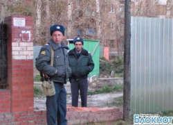 В Новочеркасске в центре мкр.Черёмушки спилили сосны