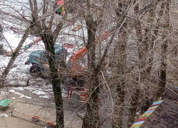 «Дети умрут на солнцепеке!»: жительницу Новочеркасска возмутили спиленные деревья в детском саду