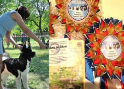 Самый очаровательный щенок проживает в Новочеркасске