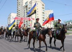 По Новочеркасску пройдут 100 лошадей