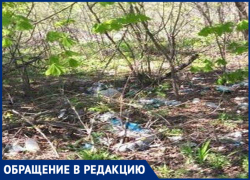 «Море отходов источает страшную вонь», - жители Новочеркасска 