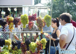 В Новочеркасске прошла четвертая межрегиональная выставка винограда
