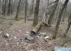 В Новочеркасске из рощи выгоняют наркоманов