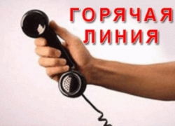 Новочеркасцам расскажут о выплате детских пособий