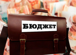 Биотуалеты, отлов собак и вывоз свалок: в Новочеркасске приняли бюджет на 2020 год 