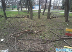 Приглашаем на субботник в детский парк «Казачок»