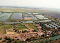 Обанкротившийся новочеркасский рыбокомбинат продали за 161 миллион рублей