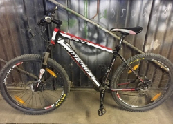 Два велосипеда похитили из велопроката в Александровском саду Новочеркасска