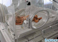 В Ростовской области младенческая смертность выросла на 20%