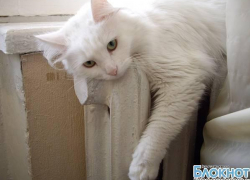 В Новочеркасске начали включать отопление раньше положенного срока