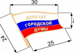 Новочеркасские депутаты озаботились отличительной символикой