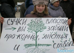 Защитники рощи в Новочеркасске угрожают властям радикальными протестами