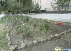 В Новочеркасске появилась «Золотая аллея» Дагестана