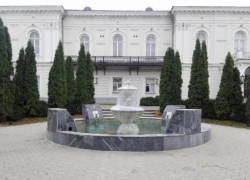 Жители Новочеркасска спасли провалившуюся в фонтан собаку 