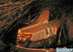 В Новочеркасске водитель едва не погиб, врезавшись в дерево