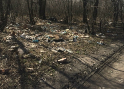 Жители микрорайона Хотунок Новочеркасска гуляют с детьми лавируя среди ям и гор мусора