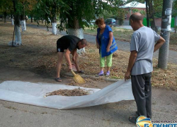Сквер на площади Чапаева в Новочеркасске привели в порядок после неудачного субботника