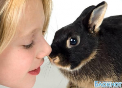 «Трогательный» зоопарк новочеркасского Биолого-экологического центра стал победителем областного конкурса