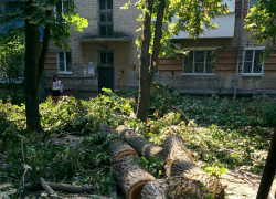 Огромное дерево повредило балконы и упало на машину в Новочеркасске