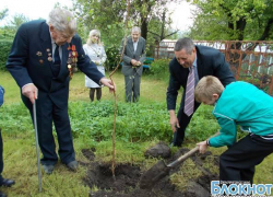 В Новочеркасске ветеран войны посадил первое именное дерево в городе
