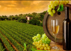 «Блокнот» стал международным